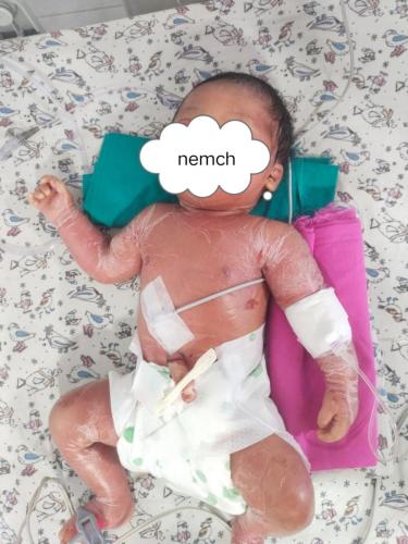 461745489_565004229214358_8231635440729497339_n